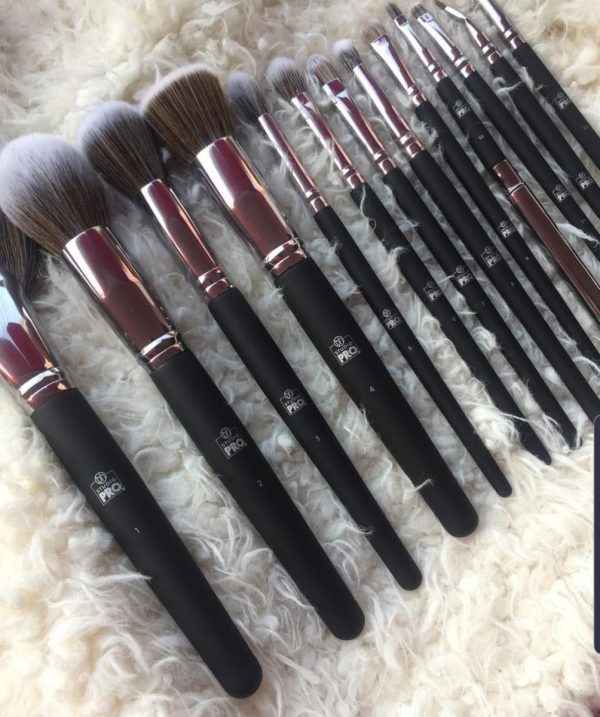 13 Pcs BH Cosmetics Studio Pro Brush Set - MustBuy.pk